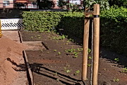 Zum Vergrößern Klicken Highslide JS