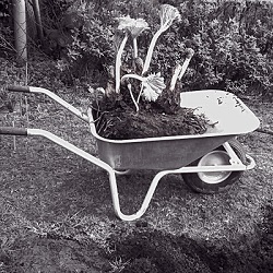 Zum Vergrößern Klicken Highslide JS