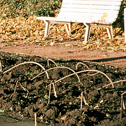 Zum Vergrößern Klicken Highslide JS